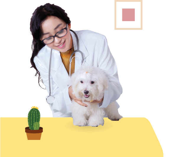 doctor and dog