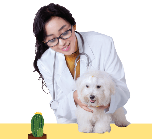 doctor and dog